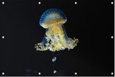 Blauw gele kwal - Foto op Tuinposter - 90 x 60 cm