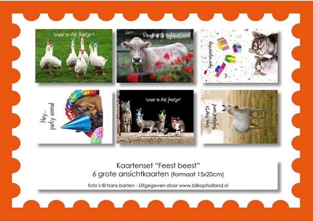 Kaarten set "Feest beest" | Verjaardag | party | Feest | Dieren | Ganzen | Koeien | Poezen | Honden | Kittens | Paarden