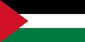 Vlag Palestina 50x75cm