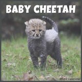 Baby Cheetah 2022 Calendar