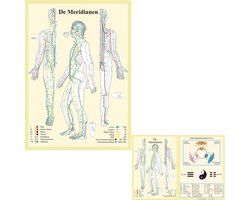 Anatomie poster meridianen (Nederlands, gelamineerd, A2 + A4