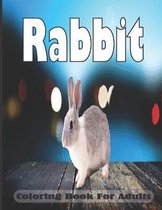 Rabbit Coloring Book For Adults