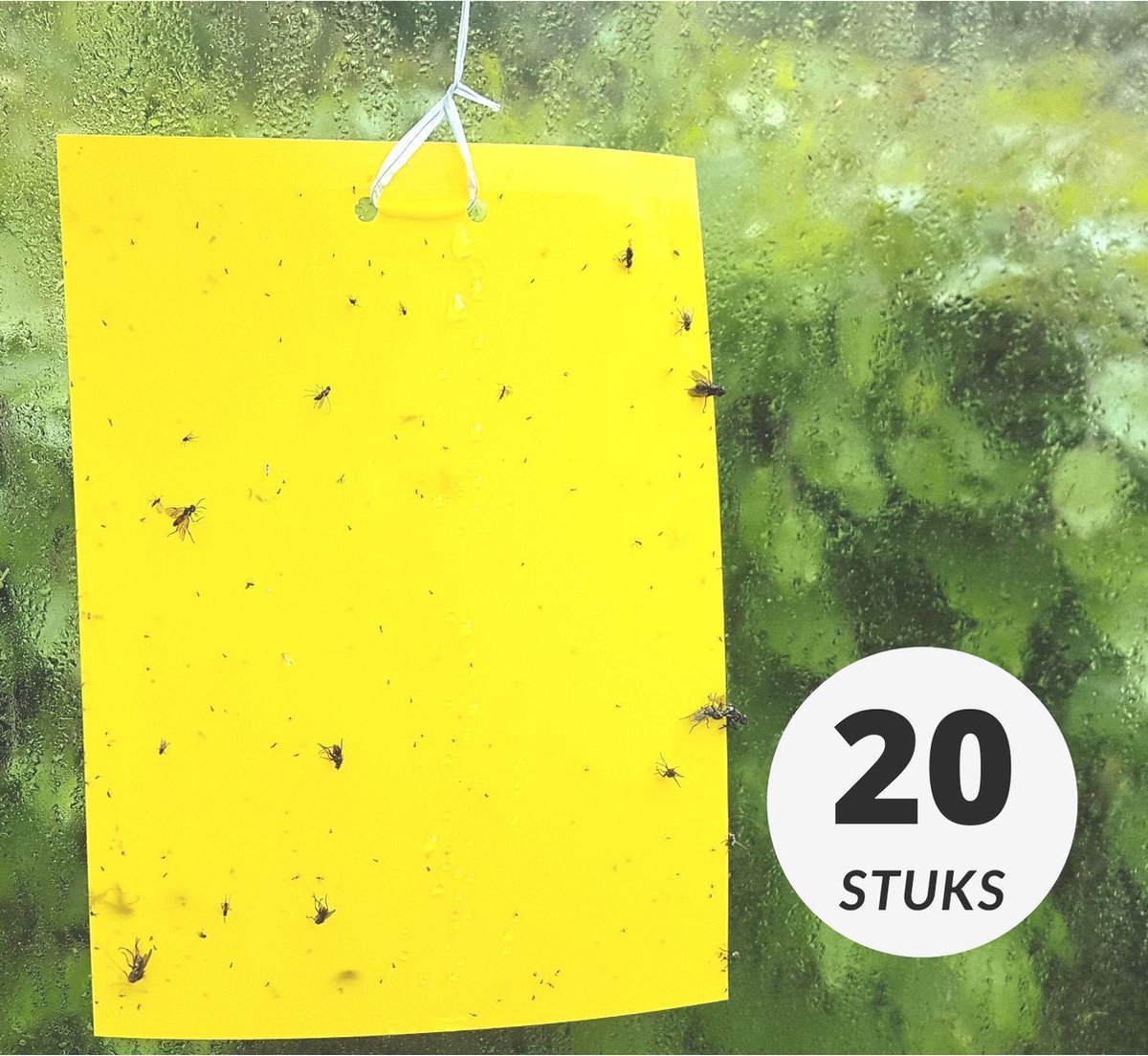 HUZZL gele lijmvallen 20 stuks vangplaten vangkaarten tegen insecten zoals fruitvliegjes rouwvliegjes trips witte vlieg bladluis en mineervliegen geschikt voor binnen buiten kweektent of kas