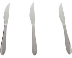 Cosy & Trendy New Sleek Steakmessen - 3 Stuks - RVS