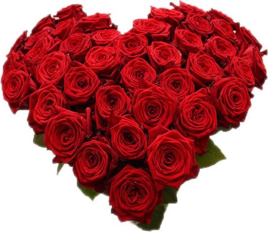 Rode rozen hart vorm boeket (40 rozen) | bol.com
