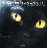 Geheime leven van de kat