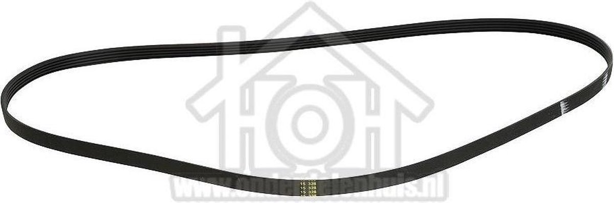 Bosch Snaar 5PJE 1163 WM14B281, WAA16161, WM08B060 00745310