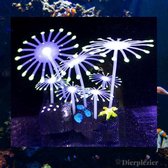 ✿Brenlux®  Aquariumdecoratie - Koraal - Kunstplant Aquarium Fluo - Planten voor aquarium - Mooie neon planten –aquariumplant GEEL met rots - Aquariumdecoratie - Aquariumversiering - Benodigdheden aquarium – 10 cm x 9 cm