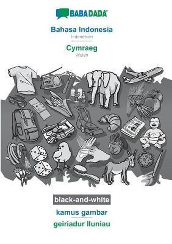 Bahasa Indonesia - Cymraeg, kamus gambar, BW - cover