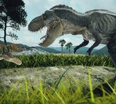 Dinosaurus T-Rex battlefield duo - Fotobehang (in banen) - 450 x 260 cm