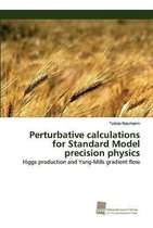 Perturbative calculations for Standard Model precision physics