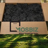 MosBiz Rendiermos Zwart 2 laags (2,6 kilo) voor decoraties, schilderijen en mos wanden