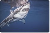 Muismat Haaien - Mensenhaai muismat rubber - 27x18 cm - Muismat met foto