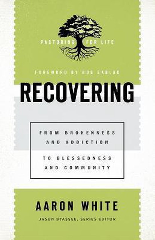 Recovering From Brokenness and Addiction to Blessedness and Community Pastoring for Life Theological Wisdom for Ministering Well