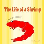 The Life of a Shrimp