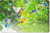 Muismat Abstract Kleurrijk - Kleurrijke IJsvogel muismat rubber - 27x18 cm - Muismat met foto