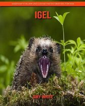 Igel