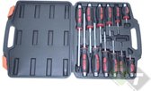 Torx en kruiskop schroevendraaier set, 12 delig, verschillende maten en lengtes