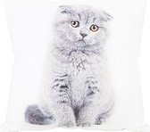 Sierkussen - Kussen - Cat Grijs - 40x40xh10cm - Polyester