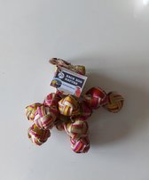 Back zoo nature Surprise Boxes Small