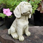 Betonnen tuinbeeld - puppy Spaniël - hond