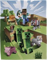 Minecraft Fleeceplaid Overworld - 100x150 - 100% Polyester - Multicolor