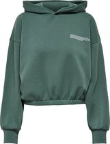 ONLY ONLCOOPER LIFE L/S HOOD SWT Dames Trui - Maat M