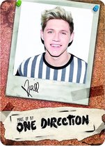 One Direction make-up palette - Niall