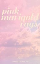 Pink Marigold Rays