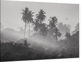 Palmbomen in de jungle - Foto op Canvas - 90 x 60 cm