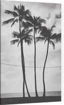 Palmbomen - Foto op Canvas - 40 x 60 cm