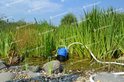 Tallas D-DW 400 pomp in een waterrijke omgeving met hoge groene planten en stenen.