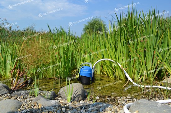 Tallas D-DW 400 pomp in een waterrijke omgeving met hoge groene planten en stenen.