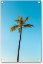 Low angle van een hoge palmboom onder een heldere hemel - Tuinposter 80x120 - Wanddecoratie - Minimalist - Landschap - Natuur