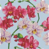 Crystal Art Card® - Watercolor Orchids - partial 18x18 cm - kaart - diamond painting