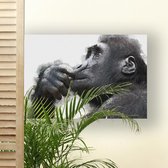 Plexiglas Schilderij Chimpansee