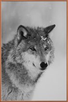 JUNIQE - Poster met kunststof lijst The Wolf -60x90 /Grijs