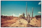 Cactus in de woestijn - Foto op Akoestisch paneel - 225 x 150 cm