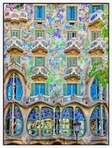 Het beroemde gevelhuis Casa Batlló van Gaudí in Barcelona - Foto op Akoestisch paneel - 60 x 80 cm