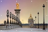 Zonsopgang op de Pont Alexandre III over de Seine in Parijs - Foto op Tuinposter - 225 x 150 cm