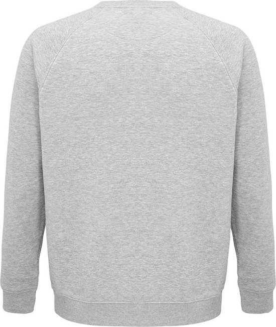 Sweat-shirt raglan biologique unisexe pour adultes SOLS (gris chiné)