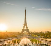 Lavabos devant la Tour Eiffel en été Paris, - Papier peint photo (en bandes) - 250 x 260 cm