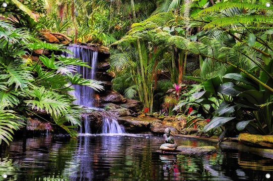 Affiche de jardin - Cascade dans jardin tropical - bord ourlé - 120x80cm |  bol