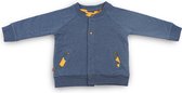 Frogs and Dogs - Cardigan - Blauw Marine - Taille 74 - Garçons