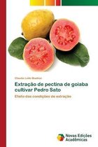 EXTRA  O DE PECTINA DE GOIABA CULTIVAR P