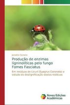 Produção de enzimas ligninolíticas pelo fungo Fomes Fasciatus