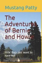 The Adventures of Bernie and Howie