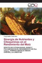 Sinergia de Nutrientes y Citoquininas en el Rendimiento del Maíz