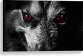 Canvas  - Rode Ogen van Wolf - 60x40cm Foto op Canvas Schilderij (Wanddecoratie op Canvas)