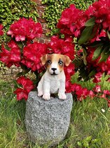 Hond - puppy - Jackrussel - bruin & wit - polyester - polystone - beeld - tuinbeeld - hoogkwalitatieve kunststof - decoratiefiguur interieur - accessoire - voor binnen - interieur - accessoire - voor binnen - cadeau - geschenk